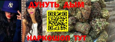 крисы Севастополь