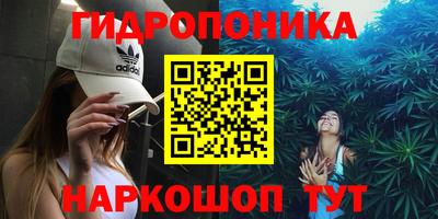 крисы Севастополь