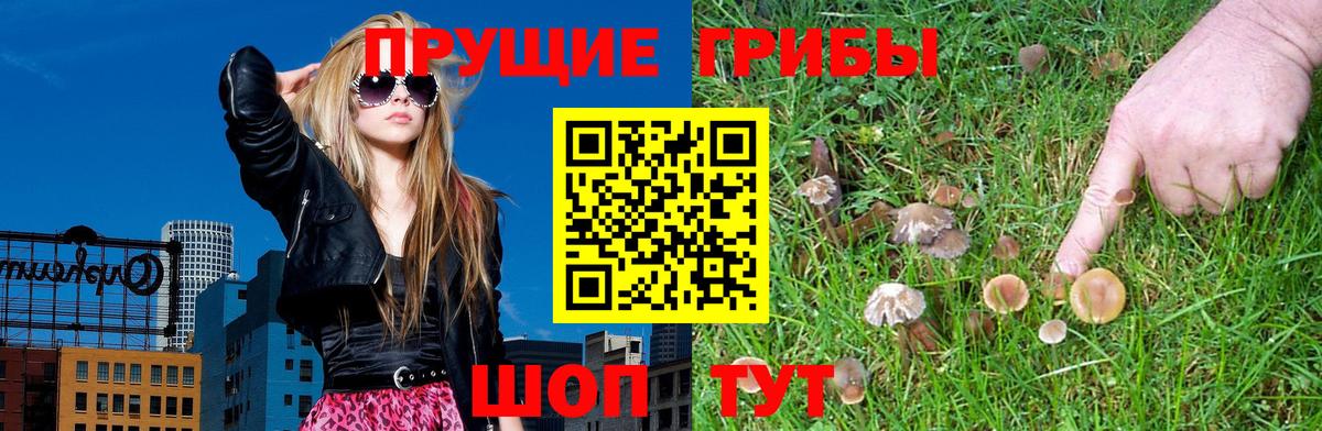 Псилоцибиновые грибы Magic Shrooms Похвистнево