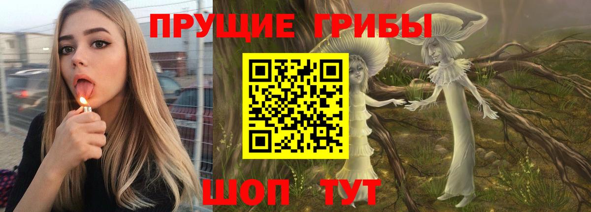 Галлюциногенные грибы мицелий  Вход с VPN  Похвистнево  Галлюциногенные грибы Psilocybe 